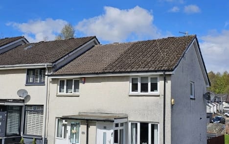 Property Maintenance